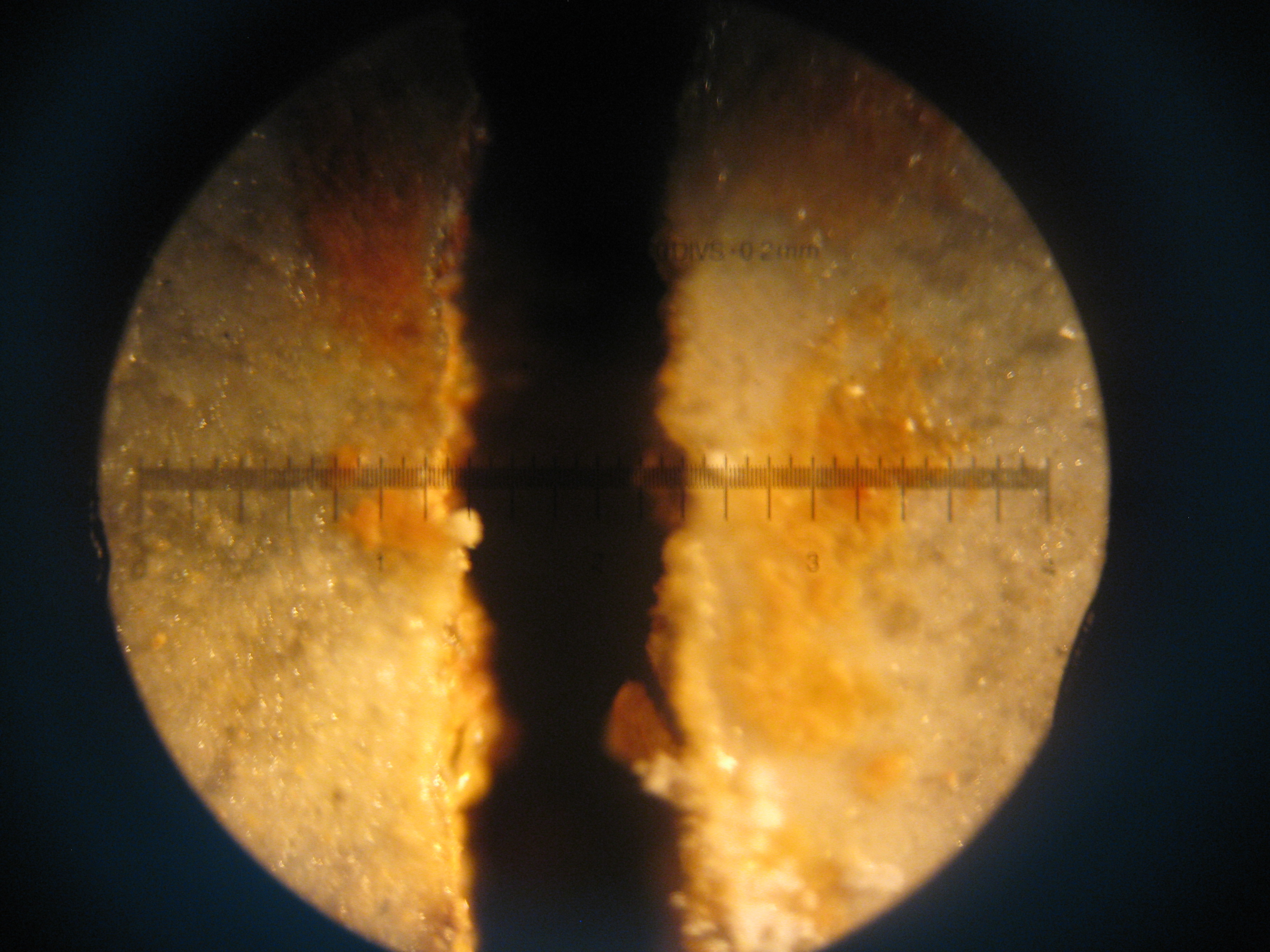 R14SP3 (side) preview