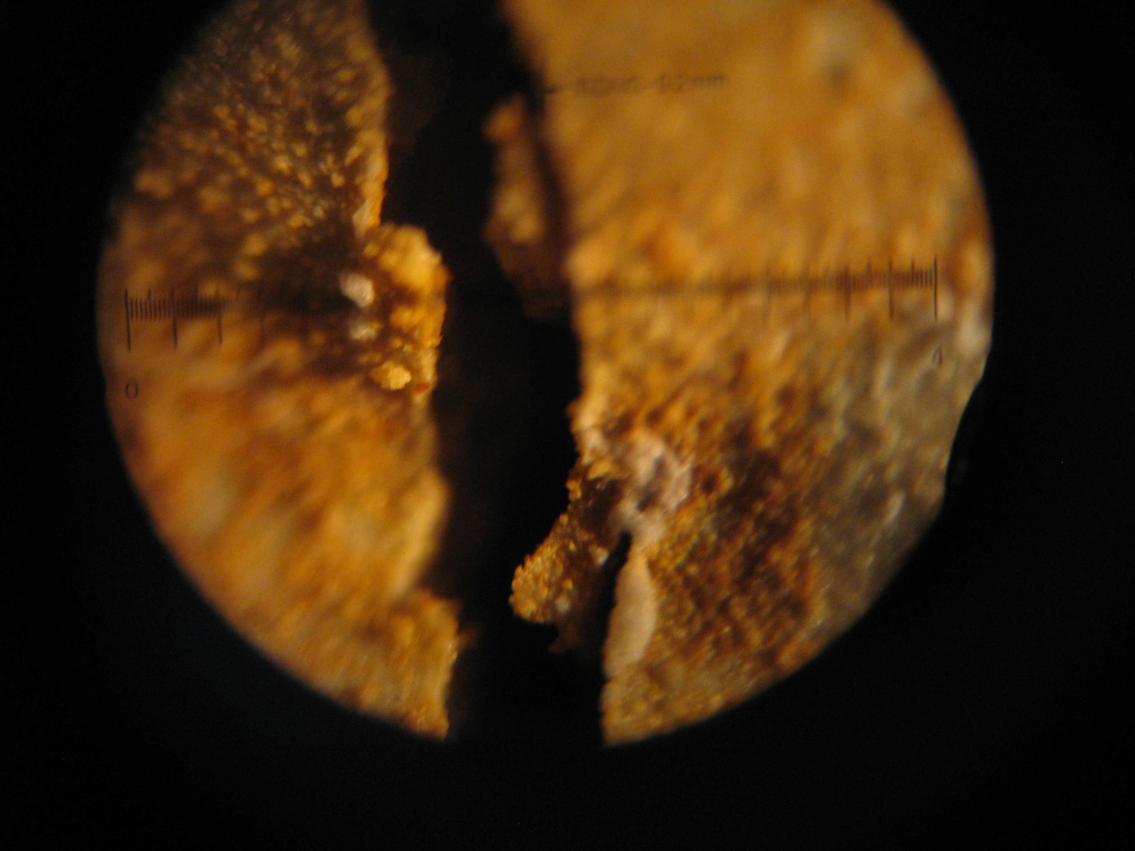 R15SP2 (side) preview