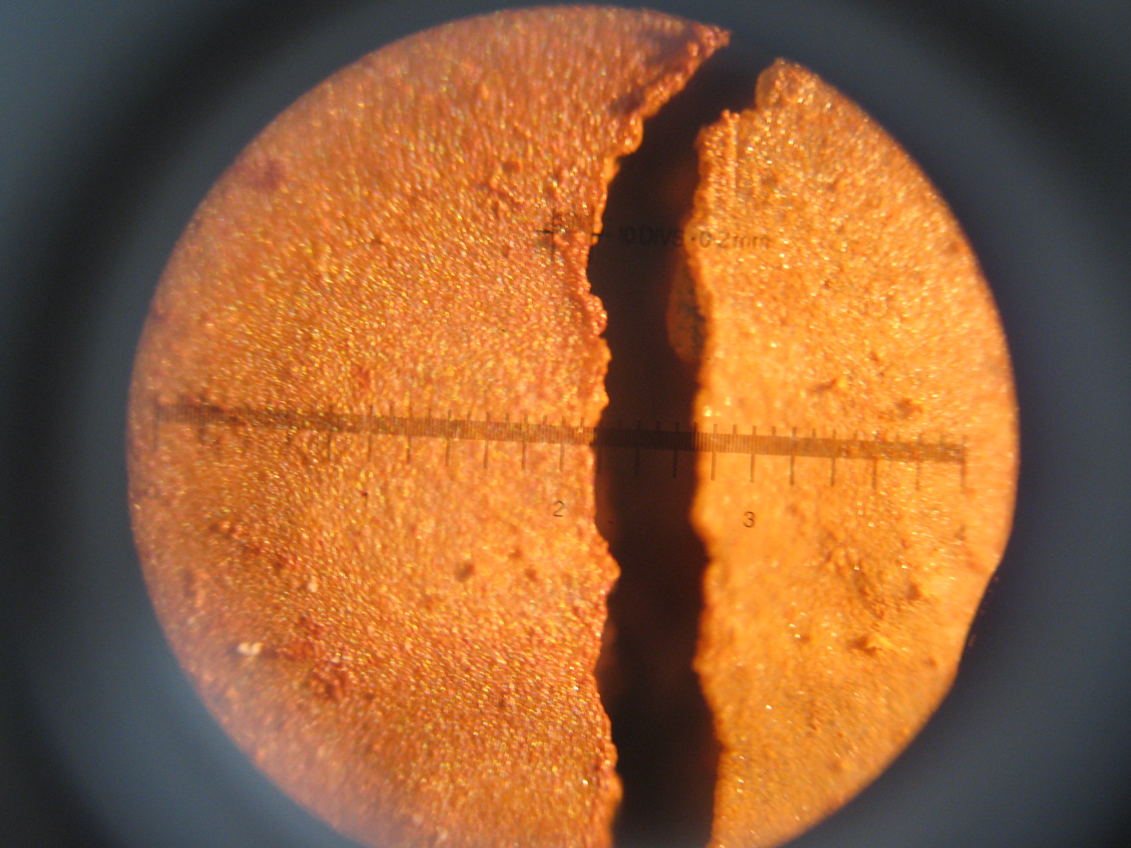 R14SP2	(side) preview